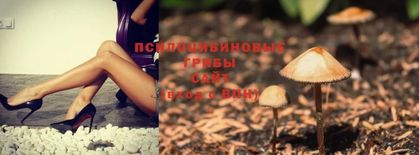 дурь Алексин