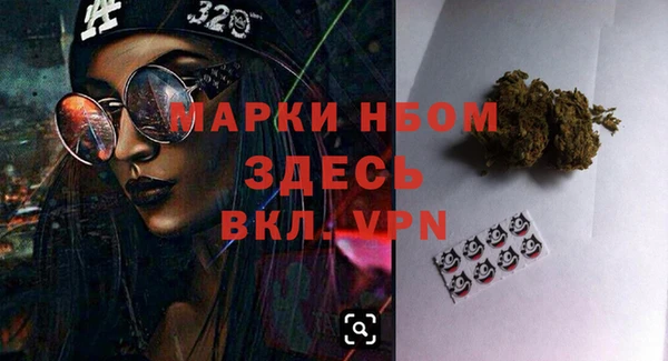 дурь Алексин