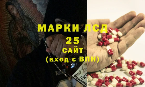 прущие грибы Алексеевка