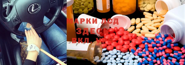 прущие грибы Алексеевка