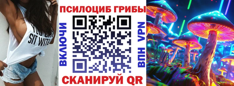 закладка  Николаевск  Галлюциногенные грибы MAGIC MUSHROOMS 
